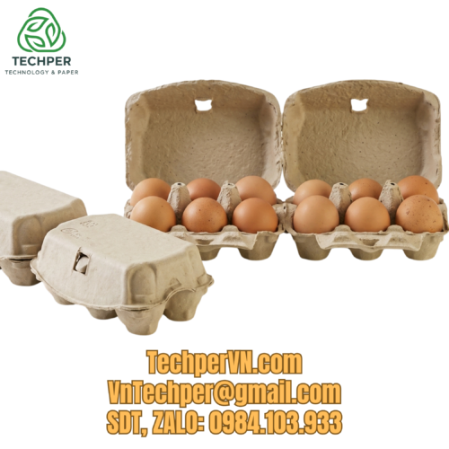 Vỉ Giấy Hộp Giấy Đựng Trứng 6 Quả